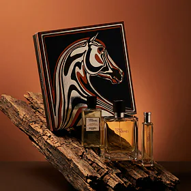 Hermès Terre D'Hermès Parfum 75 ml + Parfum 15 ml + GD corpo e capelli 40 ml (uomo)