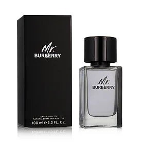 Burberry Mr. Burberry Eau de Toilette (uomo) 100 ml