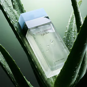 Dolce & Gabbana Light Blue Eau de Toilette (donna) 100 ml